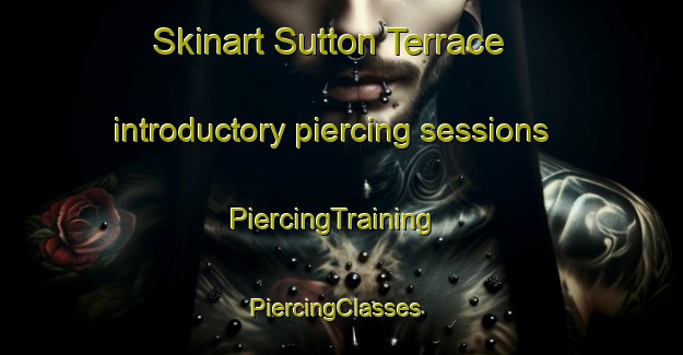 Skinart Sutton Terrace introductory piercing sessions | PiercingTraining | PiercingClasses | SkinartTraining-United States