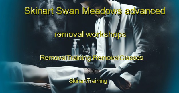 Skinart Swan Meadows advanced removal workshops | #RemovalTraining #RemovalClasses #SkinartTraining-United States