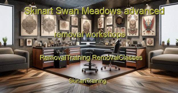 Skinart Swan Meadows advanced removal workshops | #RemovalTraining #RemovalClasses #SkinartTraining-United States