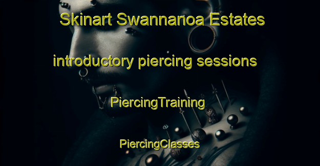 Skinart Swannanoa Estates introductory piercing sessions | #PiercingTraining #PiercingClasses #SkinartTraining-United States