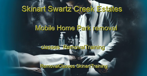 Skinart Swartz Creek Estates Mobile Home Park removal classes | #RemovalTraining #RemovalClasses #SkinartTraining-United States