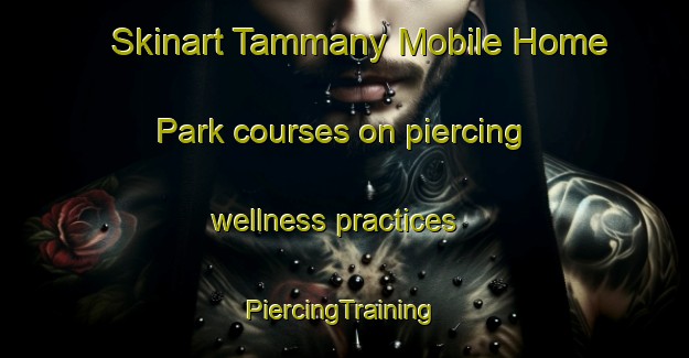 Skinart Tammany Mobile Home Park courses on piercing wellness practices | #PiercingTraining #PiercingClasses #SkinartTraining-United States