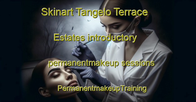 Skinart Tangelo Terrace Estates introductory permanentmakeup sessions | #PermanentmakeupTraining #PermanentmakeupClasses #SkinartTraining-United States