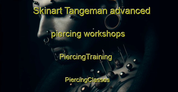 Skinart Tangeman advanced piercing workshops | PiercingTraining | PiercingClasses | SkinartTraining-United States
