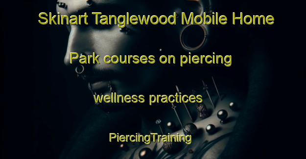 Skinart Tanglewood Mobile Home Park courses on piercing wellness practices | #PiercingTraining #PiercingClasses #SkinartTraining-United States