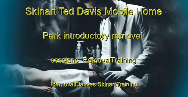 Skinart Ted Davis Mobile Home Park introductory removal sessions | #RemovalTraining #RemovalClasses #SkinartTraining-United States