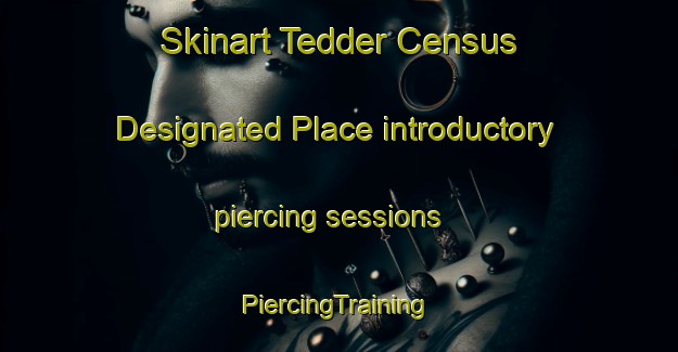 Skinart Tedder Census Designated Place introductory piercing sessions | #PiercingTraining #PiercingClasses #SkinartTraining-United States