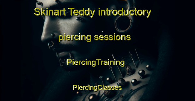 Skinart Teddy introductory piercing sessions | #PiercingTraining #PiercingClasses #SkinartTraining-United States