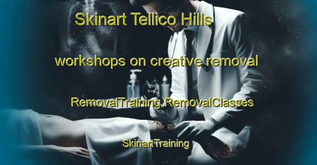 Skinart Tellico Hills workshops on creative removal | #RemovalTraining #RemovalClasses #SkinartTraining-United States