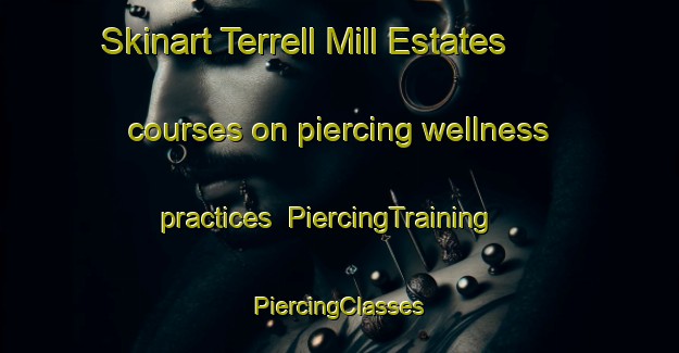 Skinart Terrell Mill Estates courses on piercing wellness practices | #PiercingTraining #PiercingClasses #SkinartTraining-United States