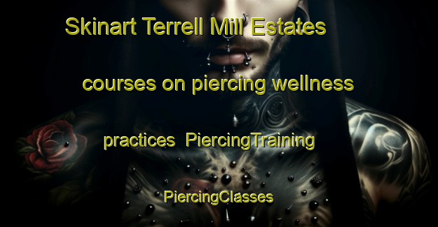 Skinart Terrell Mill Estates courses on piercing wellness practices | #PiercingTraining #PiercingClasses #SkinartTraining-United States