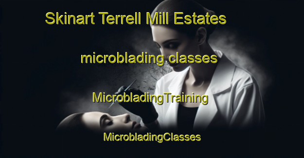 Skinart Terrell Mill Estates microblading classes | #MicrobladingTraining #MicrobladingClasses #SkinartTraining-United States