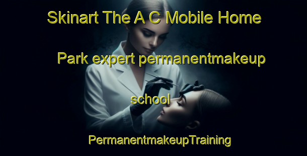 Skinart The A C Mobile Home Park expert permanentmakeup school | #PermanentmakeupTraining #PermanentmakeupClasses #SkinartTraining-United States