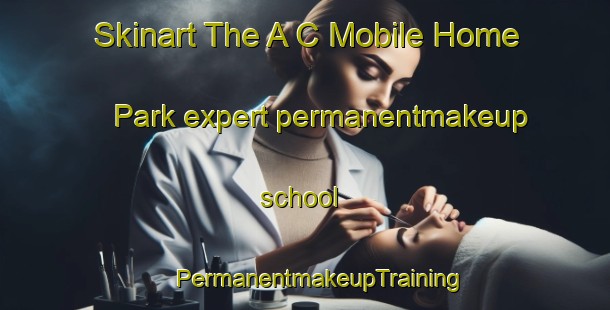 Skinart The A C Mobile Home Park expert permanentmakeup school | #PermanentmakeupTraining #PermanentmakeupClasses #SkinartTraining-United States