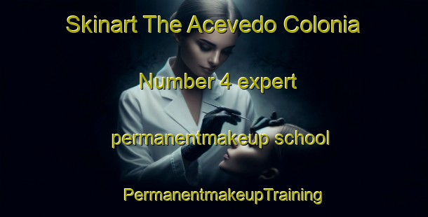 Skinart The Acevedo Colonia Number 4 expert permanentmakeup school | #PermanentmakeupTraining #PermanentmakeupClasses #SkinartTraining-United States