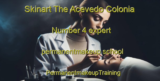 Skinart The Acevedo Colonia Number 4 expert permanentmakeup school | #PermanentmakeupTraining #PermanentmakeupClasses #SkinartTraining-United States