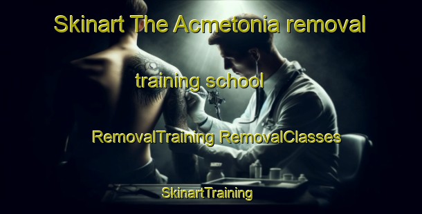 Skinart The Acmetonia removal training school | #RemovalTraining #RemovalClasses #SkinartTraining-United States