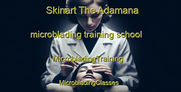 Skinart The Adamana microblading training school | MicrobladingTraining | MicrobladingClasses | SkinartTraining-United States