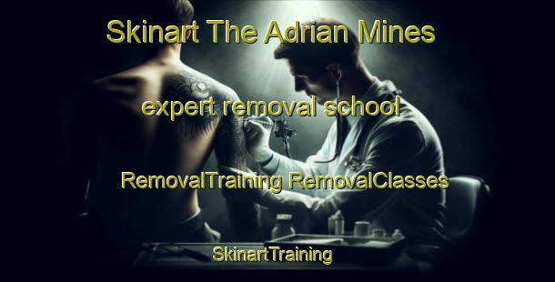 Skinart The Adrian Mines expert removal school | #RemovalTraining #RemovalClasses #SkinartTraining-United States