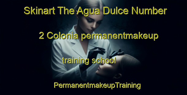 Skinart The Agua Dulce Number 2 Colonia permanentmakeup training school | #PermanentmakeupTraining #PermanentmakeupClasses #SkinartTraining-United States