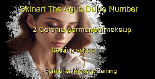 Skinart The Agua Dulce Number 2 Colonia permanentmakeup training school | #PermanentmakeupTraining #PermanentmakeupClasses #SkinartTraining-United States