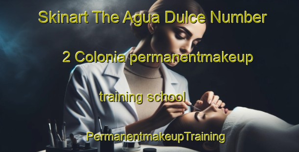 Skinart The Agua Dulce Number 2 Colonia permanentmakeup training school | #PermanentmakeupTraining #PermanentmakeupClasses #SkinartTraining-United States