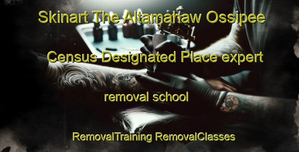 Skinart The Altamahaw Ossipee Census Designated Place expert removal school | #RemovalTraining #RemovalClasses #SkinartTraining-United States