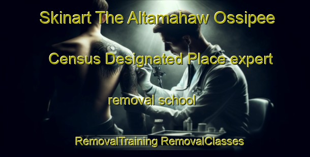 Skinart The Altamahaw Ossipee Census Designated Place expert removal school | #RemovalTraining #RemovalClasses #SkinartTraining-United States