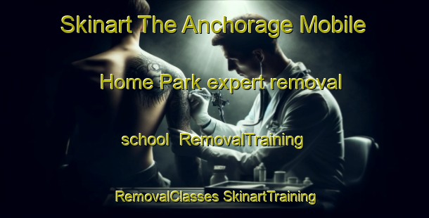 Skinart The Anchorage Mobile Home Park expert removal school | #RemovalTraining #RemovalClasses #SkinartTraining-United States