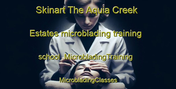 Skinart The Aquia Creek Estates microblading training school | #MicrobladingTraining #MicrobladingClasses #SkinartTraining-United States