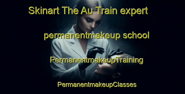 Skinart The Au Train expert permanentmakeup school | #PermanentmakeupTraining #PermanentmakeupClasses #SkinartTraining-United States