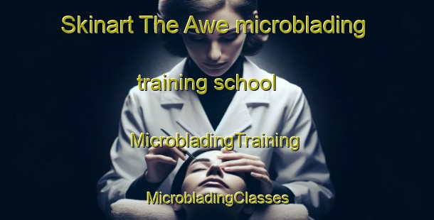 Skinart The Awe microblading training school | #MicrobladingTraining #MicrobladingClasses #SkinartTraining-United States