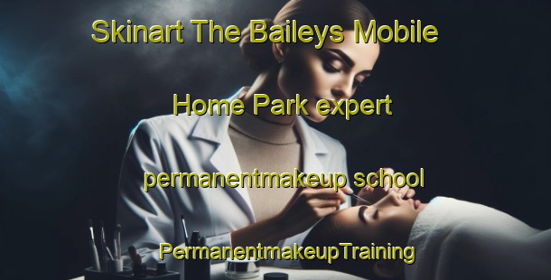 Skinart The Baileys Mobile Home Park expert permanentmakeup school | #PermanentmakeupTraining #PermanentmakeupClasses #SkinartTraining-United States