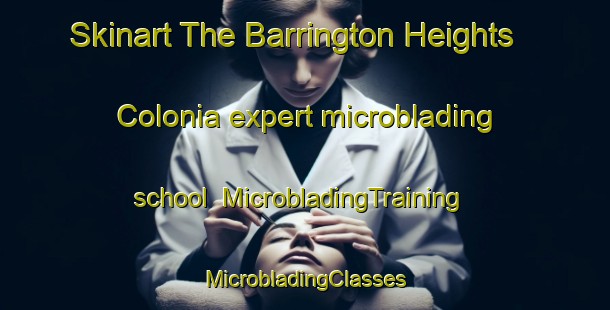 Skinart The Barrington Heights Colonia expert microblading school | #MicrobladingTraining #MicrobladingClasses #SkinartTraining-United States