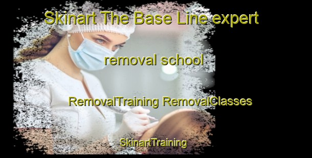 Skinart The Base Line expert removal school | #RemovalTraining #RemovalClasses #SkinartTraining-United States