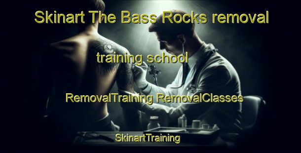 Skinart The Bass Rocks removal training school | #RemovalTraining #RemovalClasses #SkinartTraining-United States