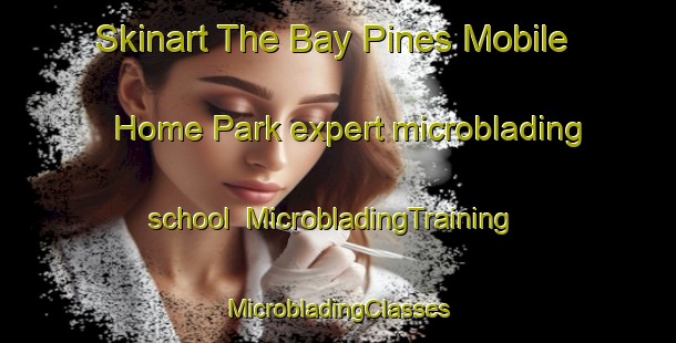 Skinart The Bay Pines Mobile Home Park expert microblading school | #MicrobladingTraining #MicrobladingClasses #SkinartTraining-United States