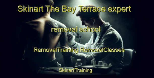 Skinart The Bay Terrace expert removal school | #RemovalTraining #RemovalClasses #SkinartTraining-United States