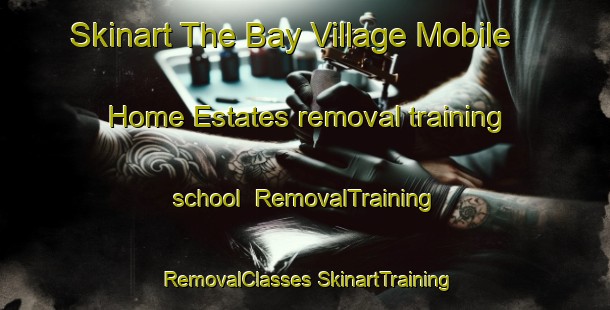 Skinart The Bay Village Mobile Home Estates removal training school | #RemovalTraining #RemovalClasses #SkinartTraining-United States