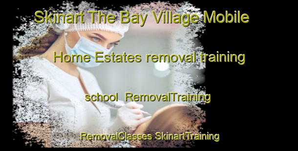 Skinart The Bay Village Mobile Home Estates removal training school | #RemovalTraining #RemovalClasses #SkinartTraining-United States