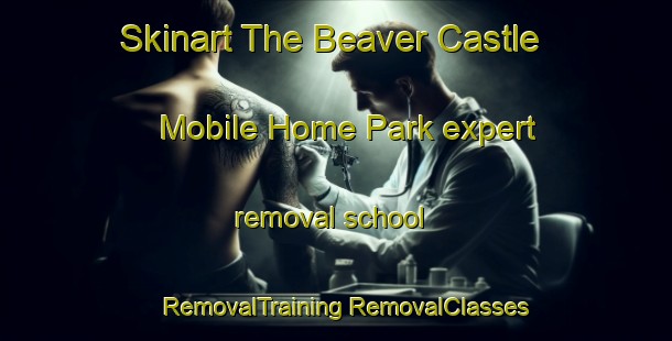 Skinart The Beaver Castle Mobile Home Park expert removal school | #RemovalTraining #RemovalClasses #SkinartTraining-United States