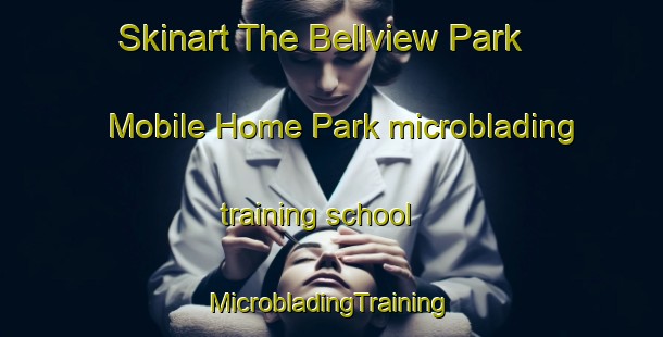 Skinart The Bellview Park Mobile Home Park microblading training school | #MicrobladingTraining #MicrobladingClasses #SkinartTraining-United States