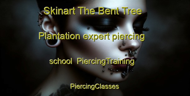 Skinart The Bent Tree Plantation expert piercing school | #PiercingTraining #PiercingClasses #SkinartTraining-United States