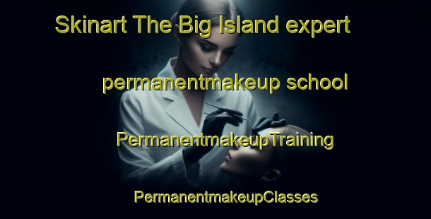 Skinart The Big Island expert permanentmakeup school | #PermanentmakeupTraining #PermanentmakeupClasses #SkinartTraining-United States