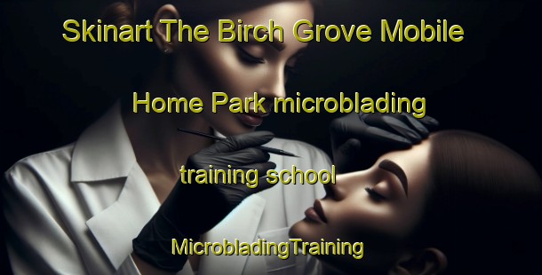 Skinart The Birch Grove Mobile Home Park microblading training school | #MicrobladingTraining #MicrobladingClasses #SkinartTraining-United States