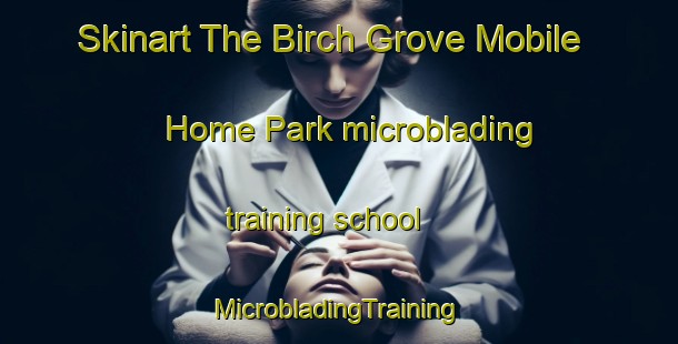 Skinart The Birch Grove Mobile Home Park microblading training school | #MicrobladingTraining #MicrobladingClasses #SkinartTraining-United States