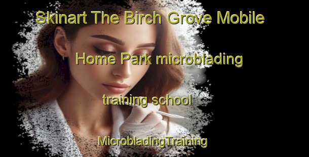 Skinart The Birch Grove Mobile Home Park microblading training school | #MicrobladingTraining #MicrobladingClasses #SkinartTraining-United States