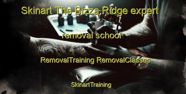 Skinart The Bizza Ridge expert removal school | #RemovalTraining #RemovalClasses #SkinartTraining-United States