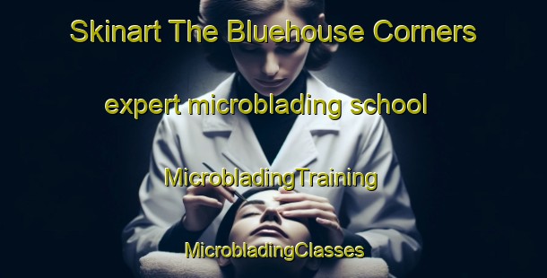 Skinart The Bluehouse Corners expert microblading school | #MicrobladingTraining #MicrobladingClasses #SkinartTraining-United States