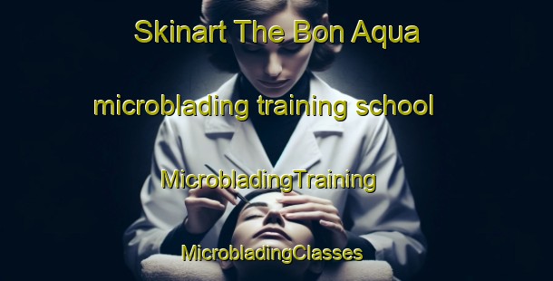 Skinart The Bon Aqua microblading training school | MicrobladingTraining | MicrobladingClasses | SkinartTraining-United States